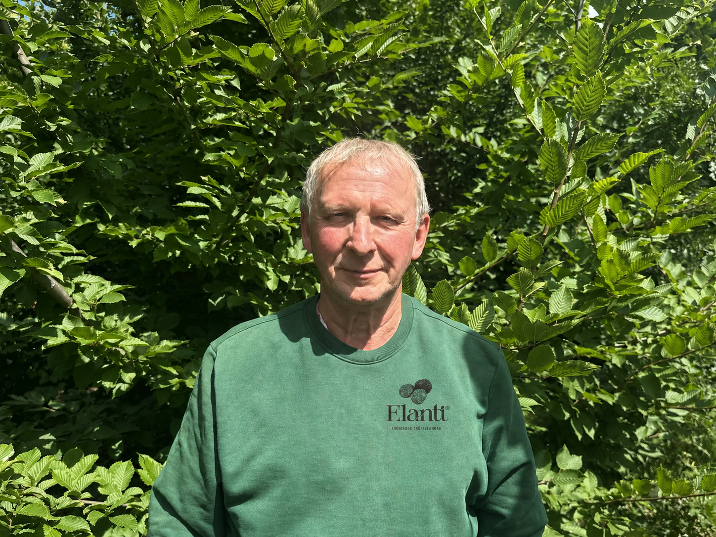 Walter Werner